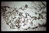 ap1704_10_15