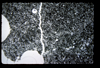 ap1704_11_01