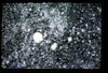 ap1704_11_05