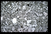 ap1704_11_11