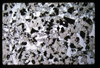 ap1704_12_01