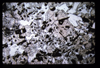 ap1704_12_03