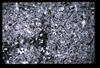 ap1704_12_05