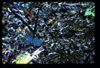 ap1704_12_08