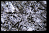 ap1704_12_11