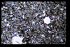 ap1704_13_01