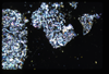 ap1704_13_06