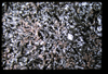 ap1704_13_11