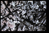 ap1704_13_13
