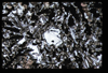 ap1704_13_15