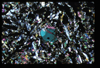 ap1704_13_16