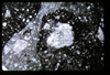 ap1704_13_17