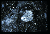 ap1704_13_18
