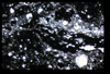 ap1704_14_05