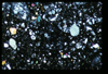 ap1704_14_10