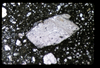 ap1704_14_11