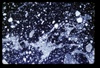 ap1704_15_03