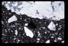 ap1704_15_17