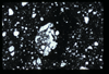 ap1704_16_05