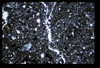 ap1704_16_11