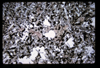 ap1704_16_13