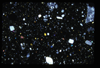 ap1704_17_02