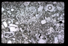 ap1704_17_13