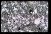 ap1704_17_15