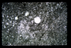ap1704_18_03