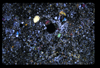 ap1704_18_04