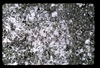 ap1704_18_09