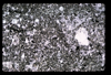 ap1704_18_11