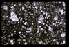 ap1704_19_01