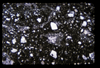 ap1704_19_05
