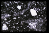 ap1704_19_09
