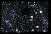 ap1704_19_12