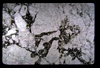 ap1704_20_01
