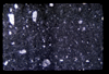 ap1704_20_06