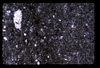 ap1704_20_08