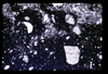 ap1704_20_10