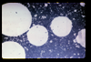 ap1704_21_01