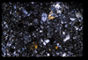 ap1704_21_10