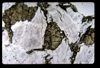 ap1704_21_17