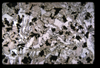 ap1704_22_01