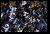 ap1704_22_02