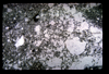 ap1704_22_09