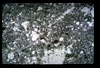 ap1704_22_11