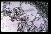 ap1704_22_13