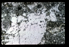 ap1704_22_15