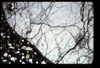 CRAT_07_03